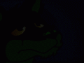 ah_1237016739639.roo-meister_duncanroo_personvore.gif